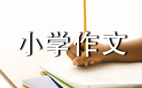 黑暗中的一盏灯小学作文