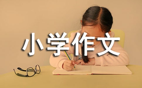 安妮漫游奇境小学作文500字