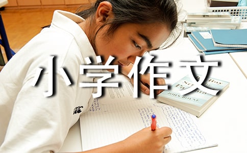 最亲的人小学作文500字