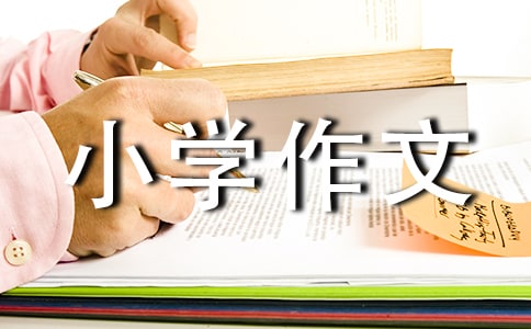 中国传统文化小学作文（精选15篇）