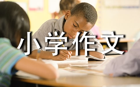 最让我敬佩的人小学作文500字