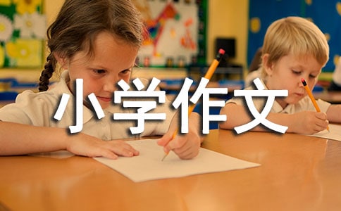 转角处的欢乐谷小学作文