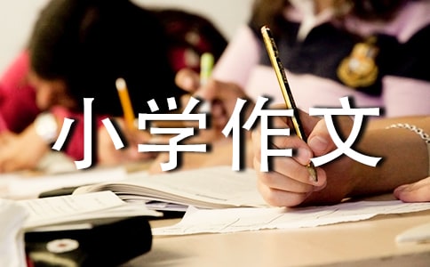 人生的小学作文500字