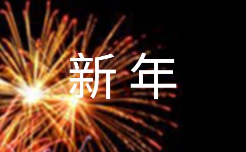 新年秀秀六年级作文