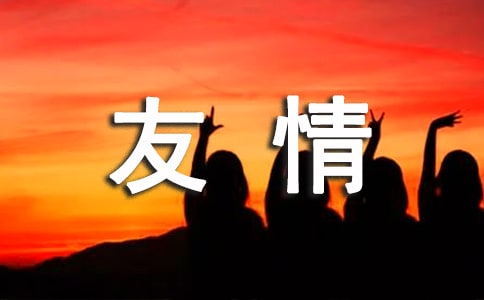 我读懂了友情初二作文