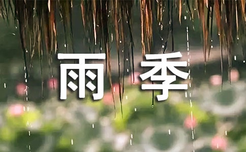 雨季,我们去看海初三作文400字