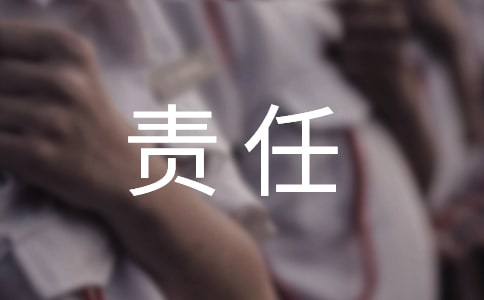 责任与担当作文950字