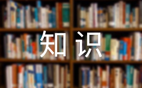 小学作文：生活中的数学小知识