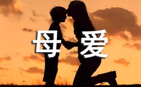 母爱滋润了我的心田作文700字