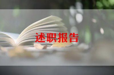 政述职报告范文6篇