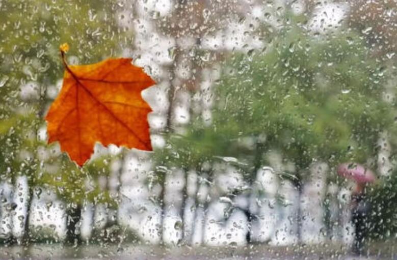 秋雨绵绵的唯美句子 赞美秋雨的唯美语录