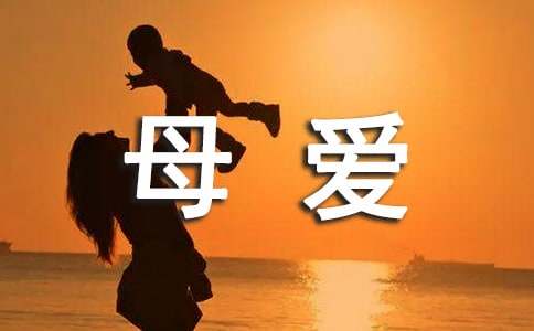 伟大的母爱[600字]