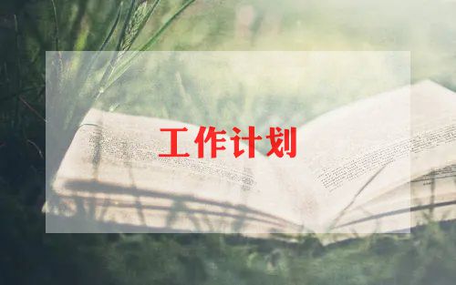 学校财务后勤工作计划5篇