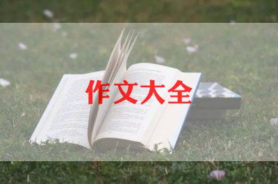 优秀学生作文300字8篇