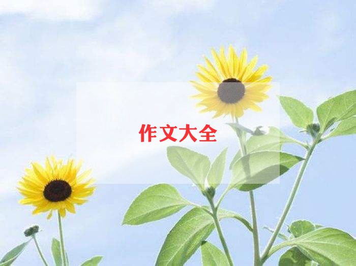 喜欢中秋节的作文6篇