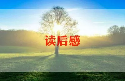 2022年九年级物理教师的工作总结 5篇