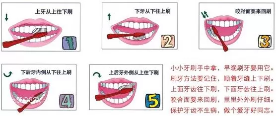 刷牙前用牙刷沾水？教你正确刷牙方法